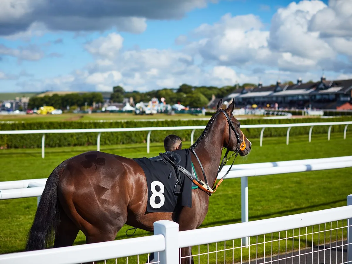 Celebrating National Racehorse Week Raceday at Musselburgh Racecourse