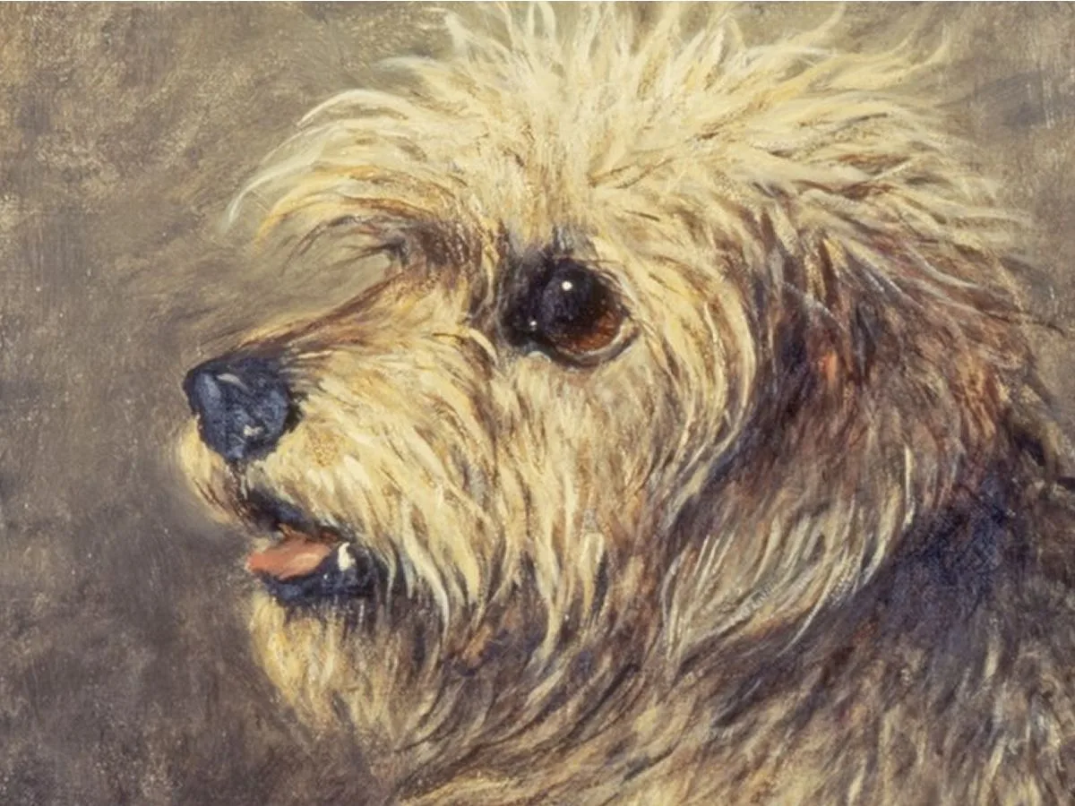Pet Portraits Workshop
