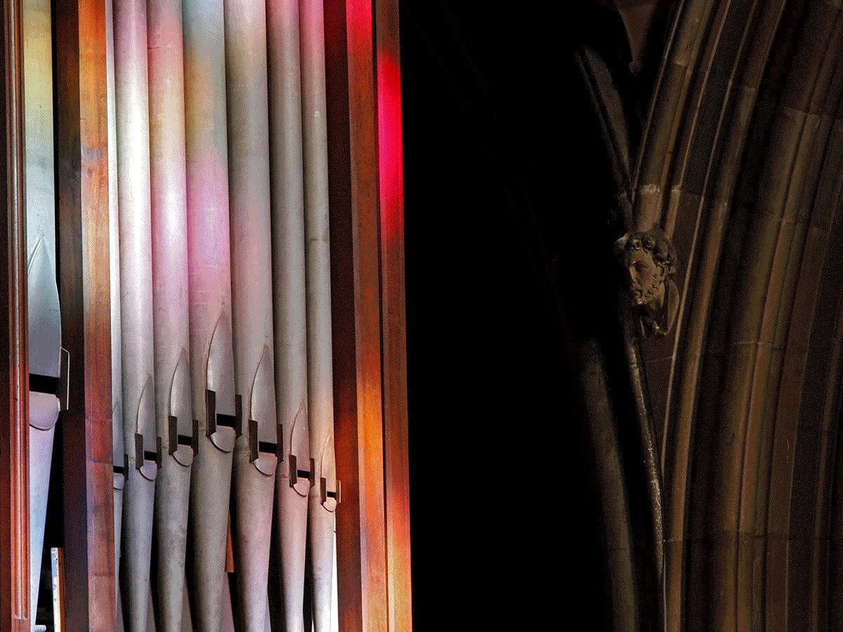 St Mary’s Cathedral: Organ Recitals