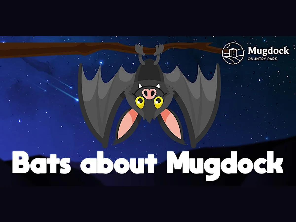 Bats About Mugdock at Mugdock Country Park
