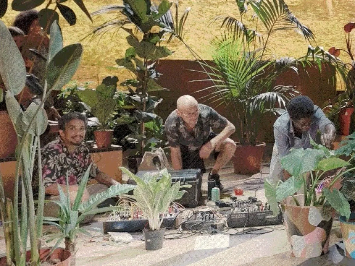 Sonica Glasgow: Plants Can Dance - Brian d’Souza