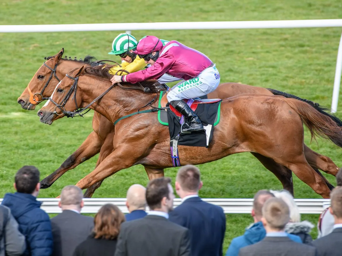 The Portobello Cup Raceday