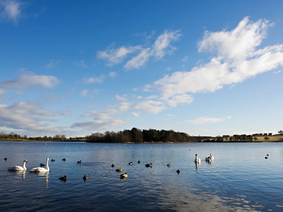 Hogganfield Loch BioBlitz at Seven Lochs Wetland Park
