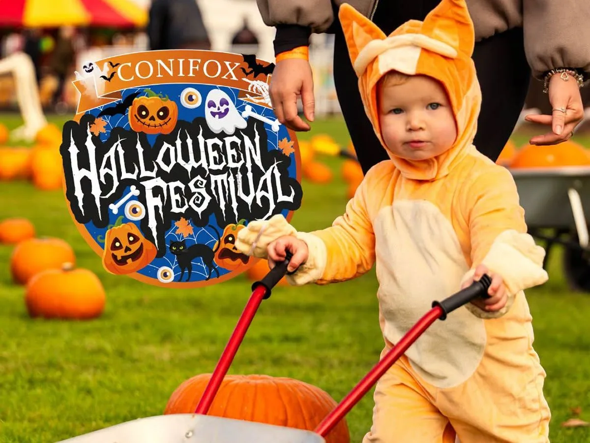 Halloween Days at Conifox Adventure Park