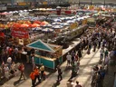 Beer Festival