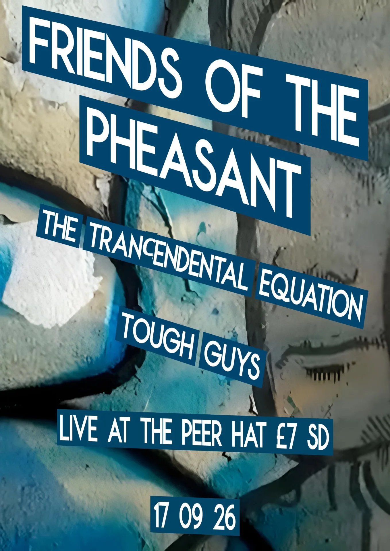 FRIENDS OF THE PHEASANT//THE TRANCEDENTAL EQUATION//TOUGH GUYS at The Peer Hat, Faraday Street