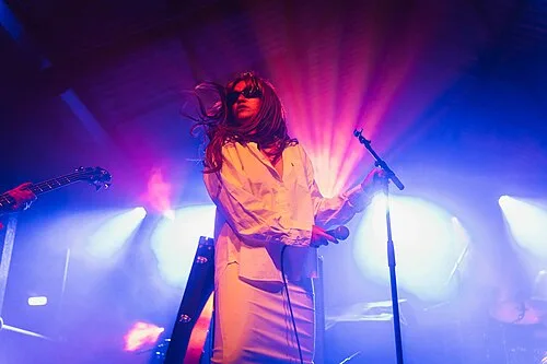 The Moonlandingz