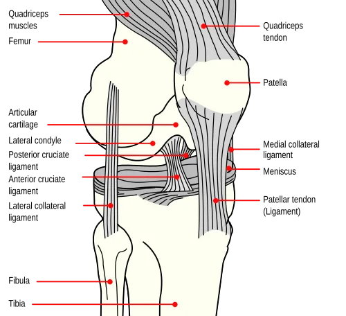 KNEECAP in Leeds at Bramham Park