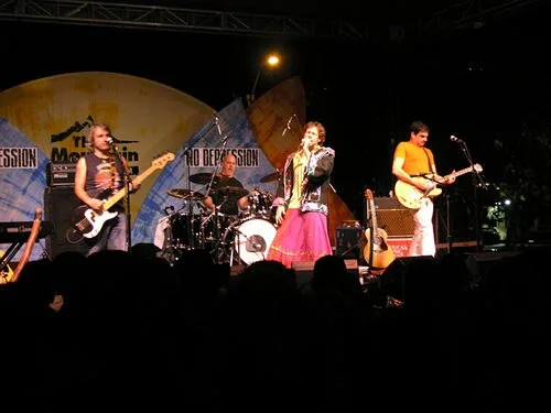 Hothouse Flowers at The Fire Station