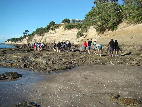 Field Trip