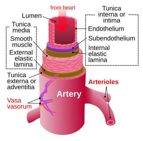 Artery – Jam at MAP Studio Cafe