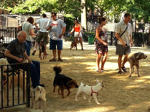 Dogpark at The Garage