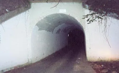 Urban Legends