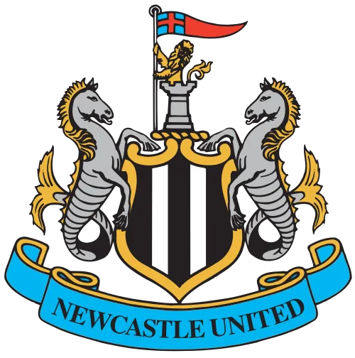 Newcastle United vs Bayer Leverkusen at St James Park