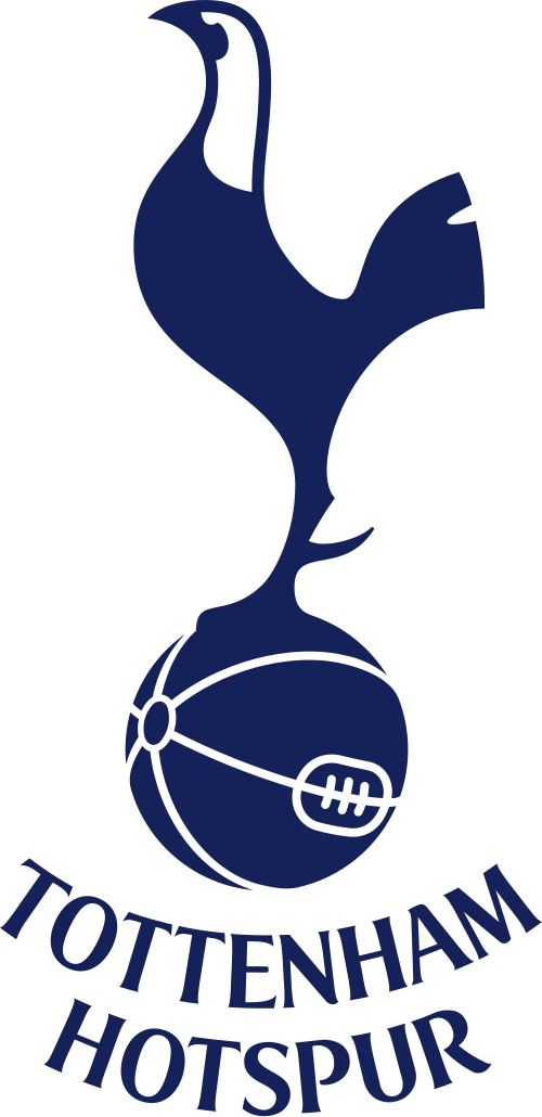 Tottenham Hotspur vs Fulham at Tottenham Hotspur Stadium