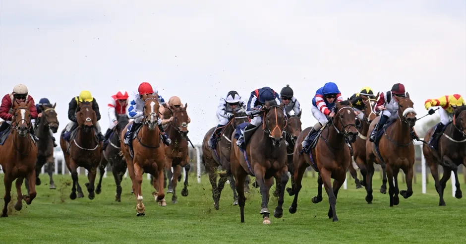 Countryside Raceday at Bath Racecourse at Bath