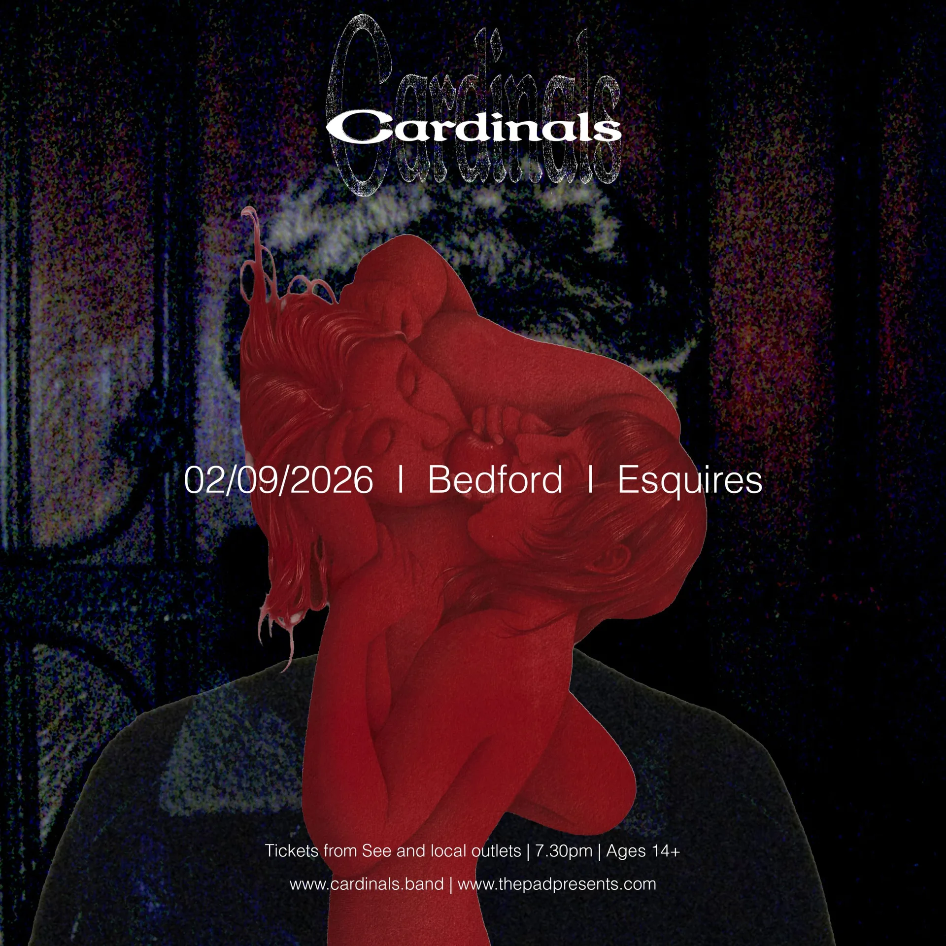 Cardinals at Bedford Esquires