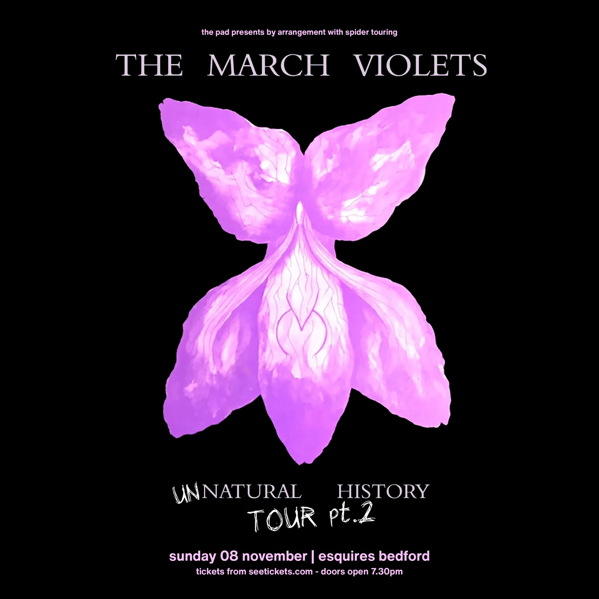 The March Violets