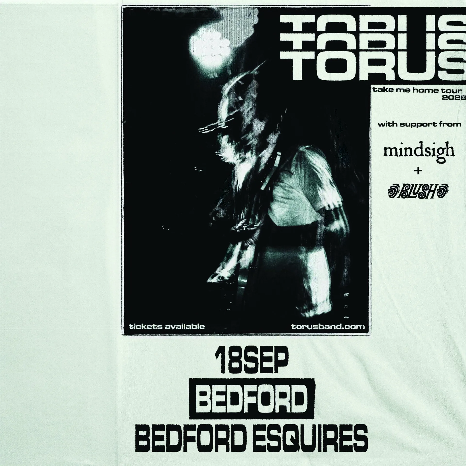 Torus + Mindsigh + Blush