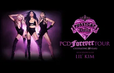The Pussycat Dolls