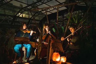 J.A.M. String Collective + James Gow