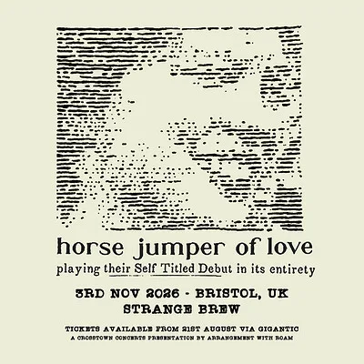 Horse Jumper Of Love