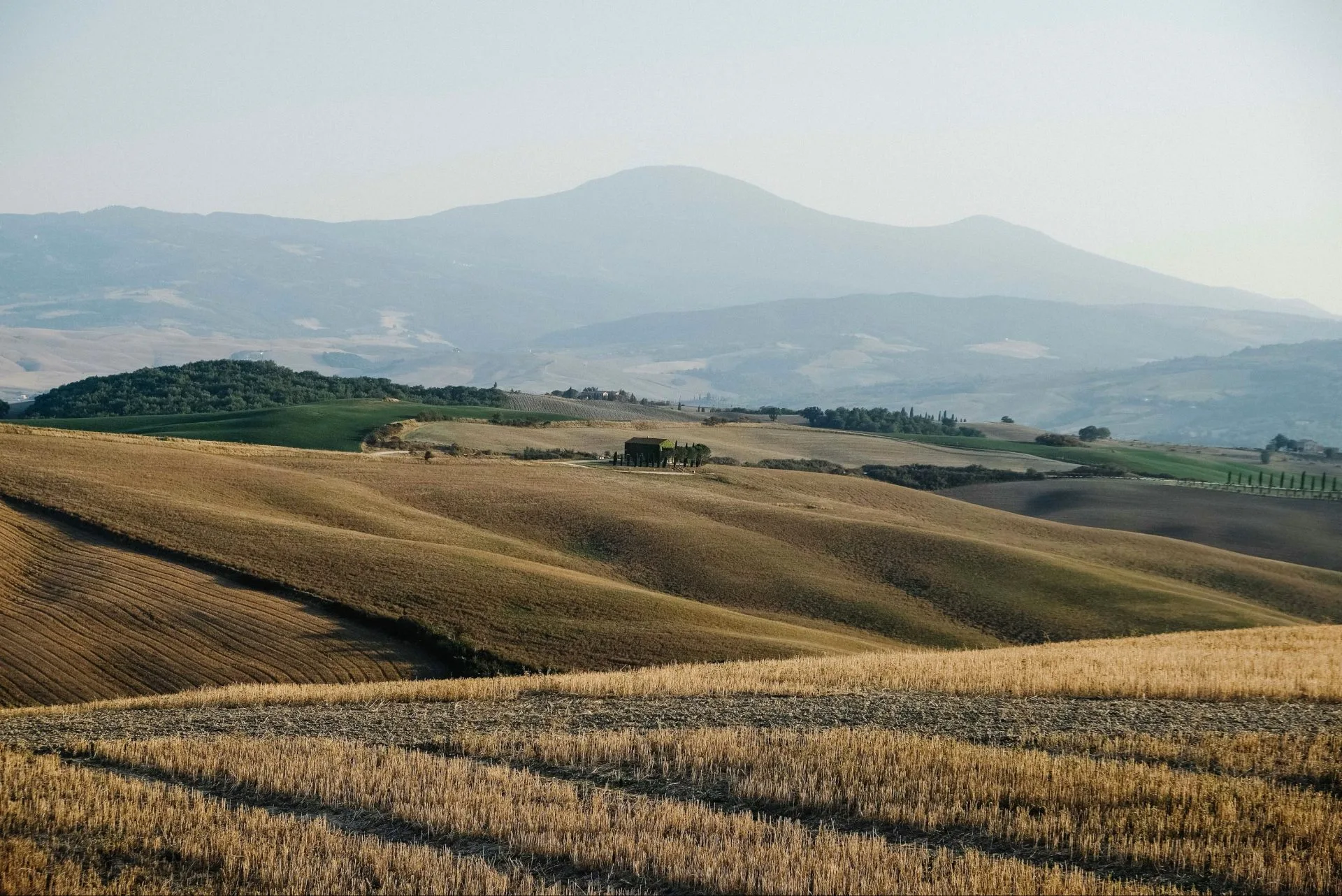 Reading Scripture Together: The Land