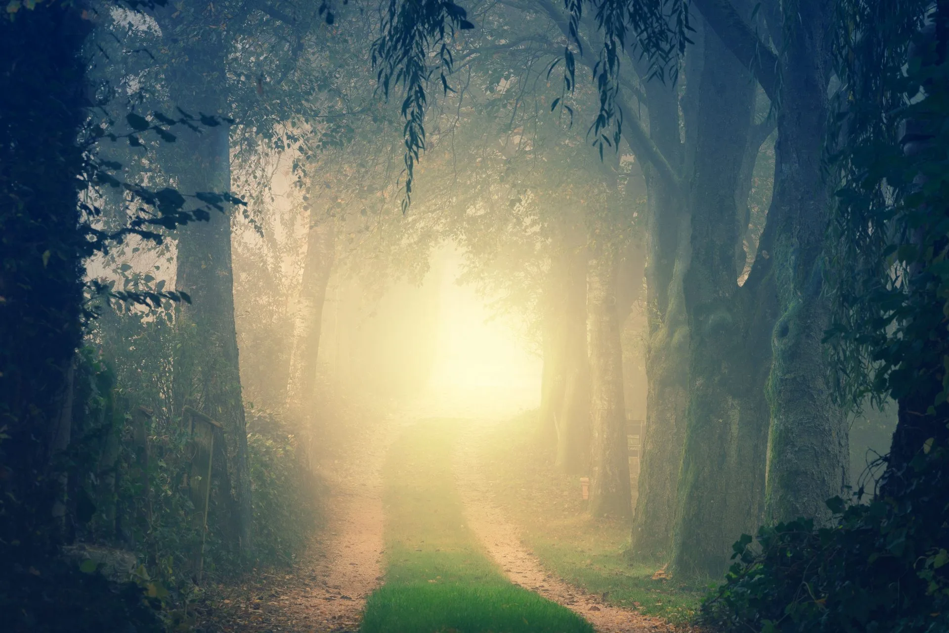 Integration Through Life Transitions Retreat Package