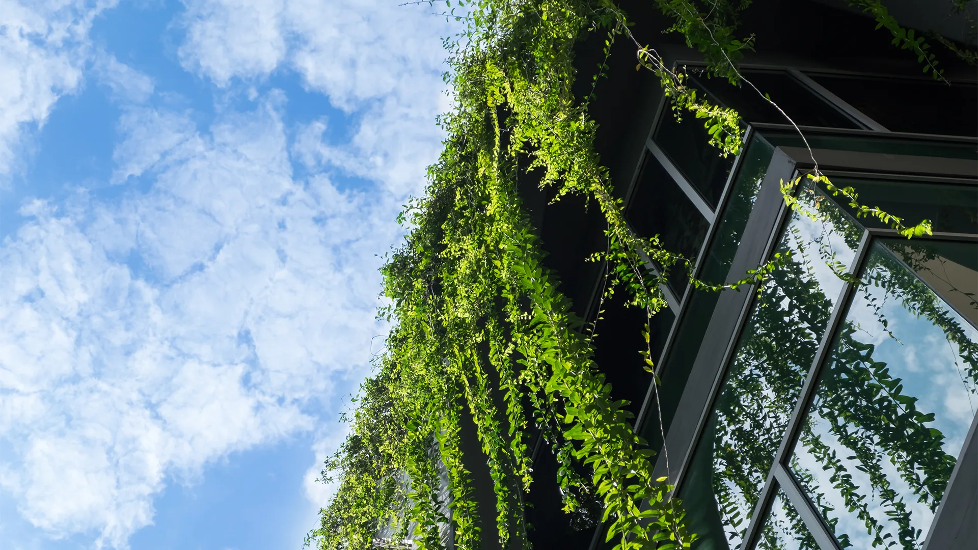 Are architects failing the climate? at Farrell Centre