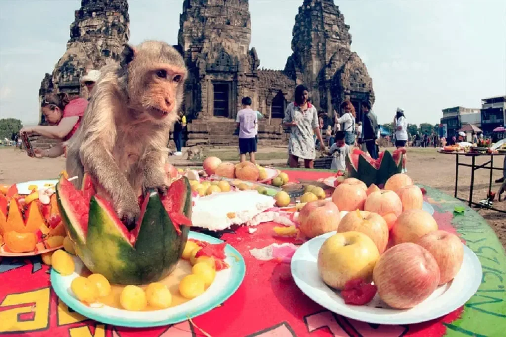 Monkey Buffet Festival Lopburi Thailand 2026 at Whitechapel Gallery