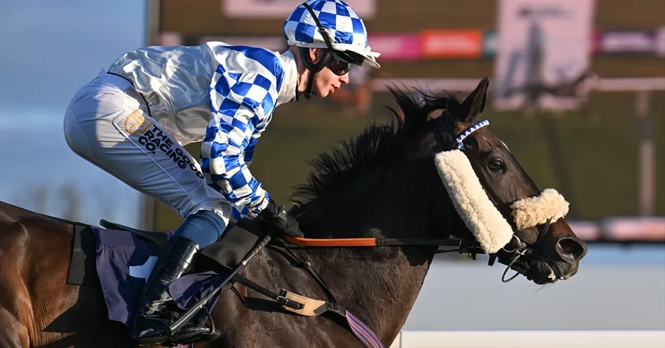 Rum & Reggae Racenight at Bath Racecourse at Bath