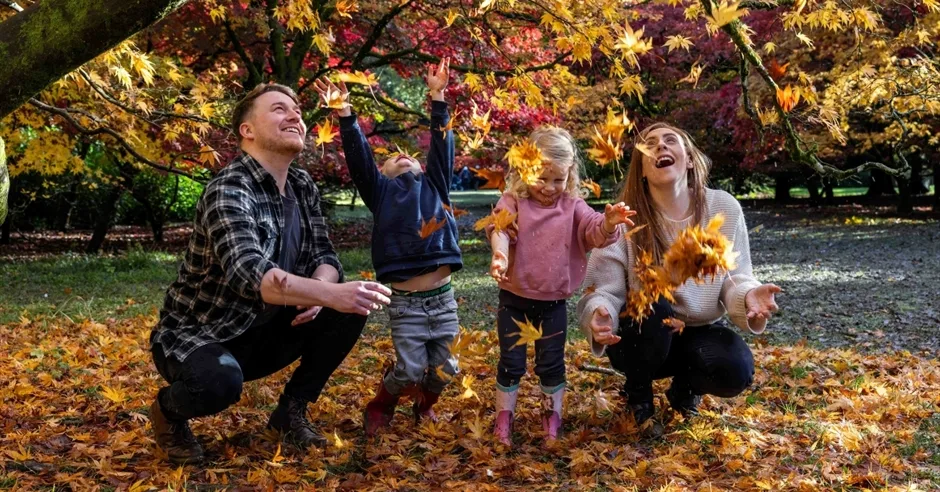 Magic of Maples family trail at Westonbirt, The National Arboretum at Bath