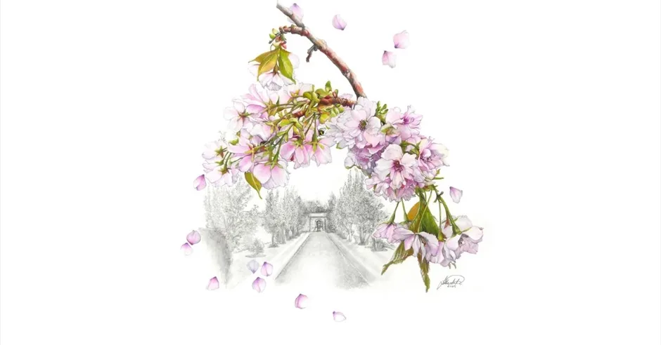 Garden Exhibition - 'The Lifecycle of Plants' at Bowood House & Gardens at Bath