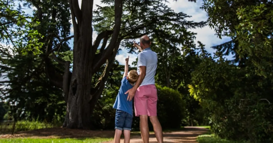 Nature's Soundtrack – family event at Westonbirt at Bath