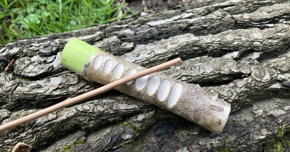 Woodland Orchestra – family event at Westonbirt at Bath