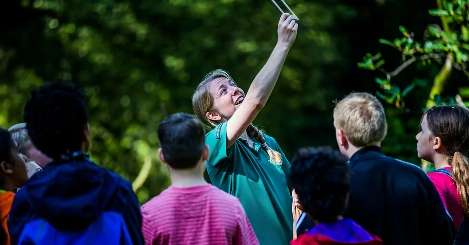 Sensory Woodland Walks – family event at Westonbirt at Bath
