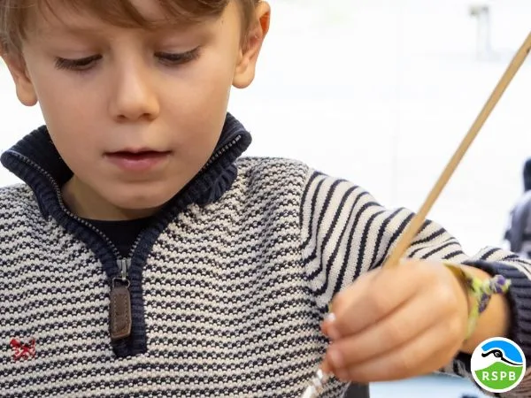 Seasonal Crafts at RSPB Minsmere