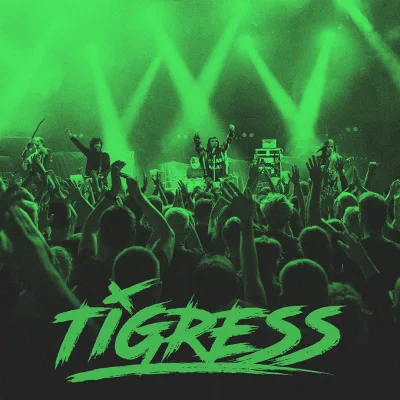 TIGRESS at The Lower Third