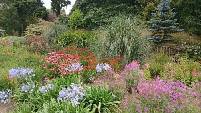 Wild Wednesdays: Summer Senses at Birmingham Botanical Gardens