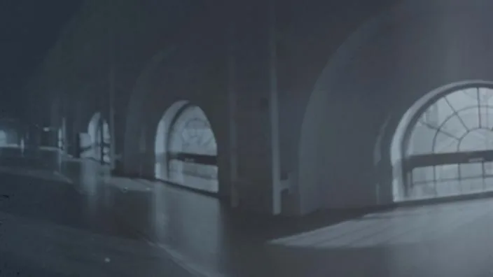 Chemigrams - Camera-less photography with artist Tom Godwin