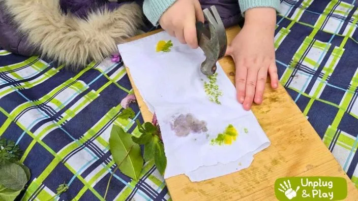 Summer Hapa Zome Workshop at Castle Bromwich Historic Gardens