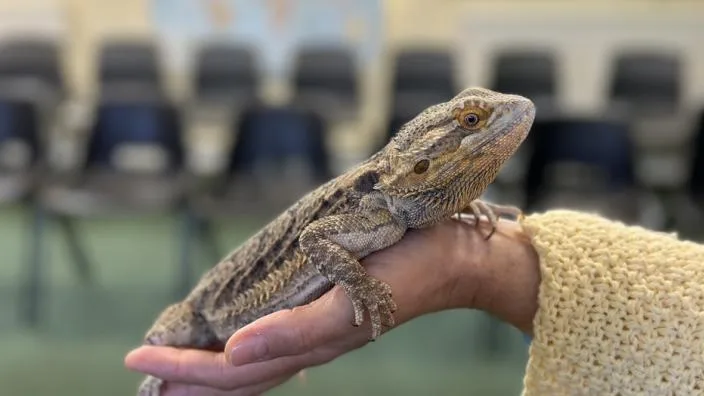 Wild Wednesdays: Animal Handling at Birmingham Botanical Gardens