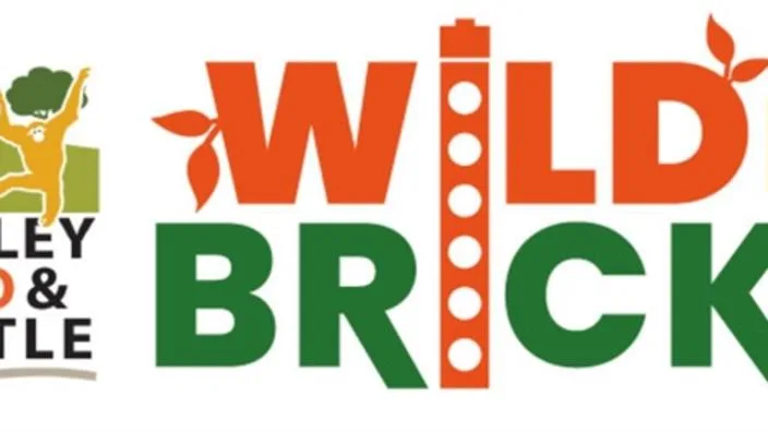 Wild Bricks at Dudley Zoo