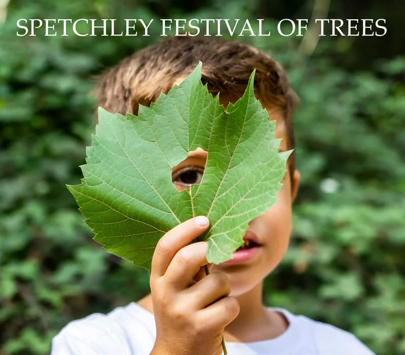 Spetchley Festival of Trees at West Midlands