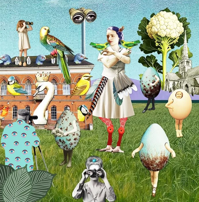Surreal Solihull at Midlands Arts Centre