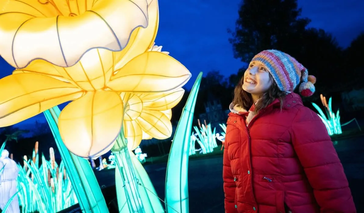 Festival of Light