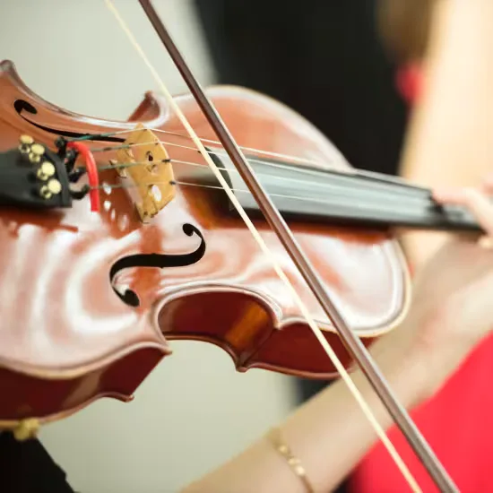 New Year's Piccadilly Family Concert at St James' Piccadilly at St James's Church