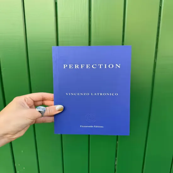 WANDSWORTH BOOK CLUB: Perfection by Vincenzo Latronico at Morocco Bound Wandsworth