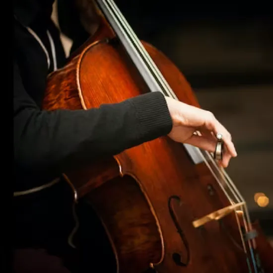 Bach Cello Suites by Candlelight at St James' Church Piccadilly at St James's Church