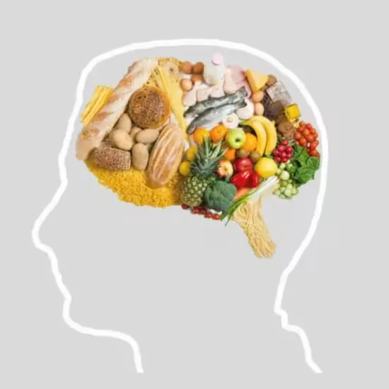 The Gut-Brain Connection: Nourish your mind, body & microbiome at Winchester Science Centre & Planetarium